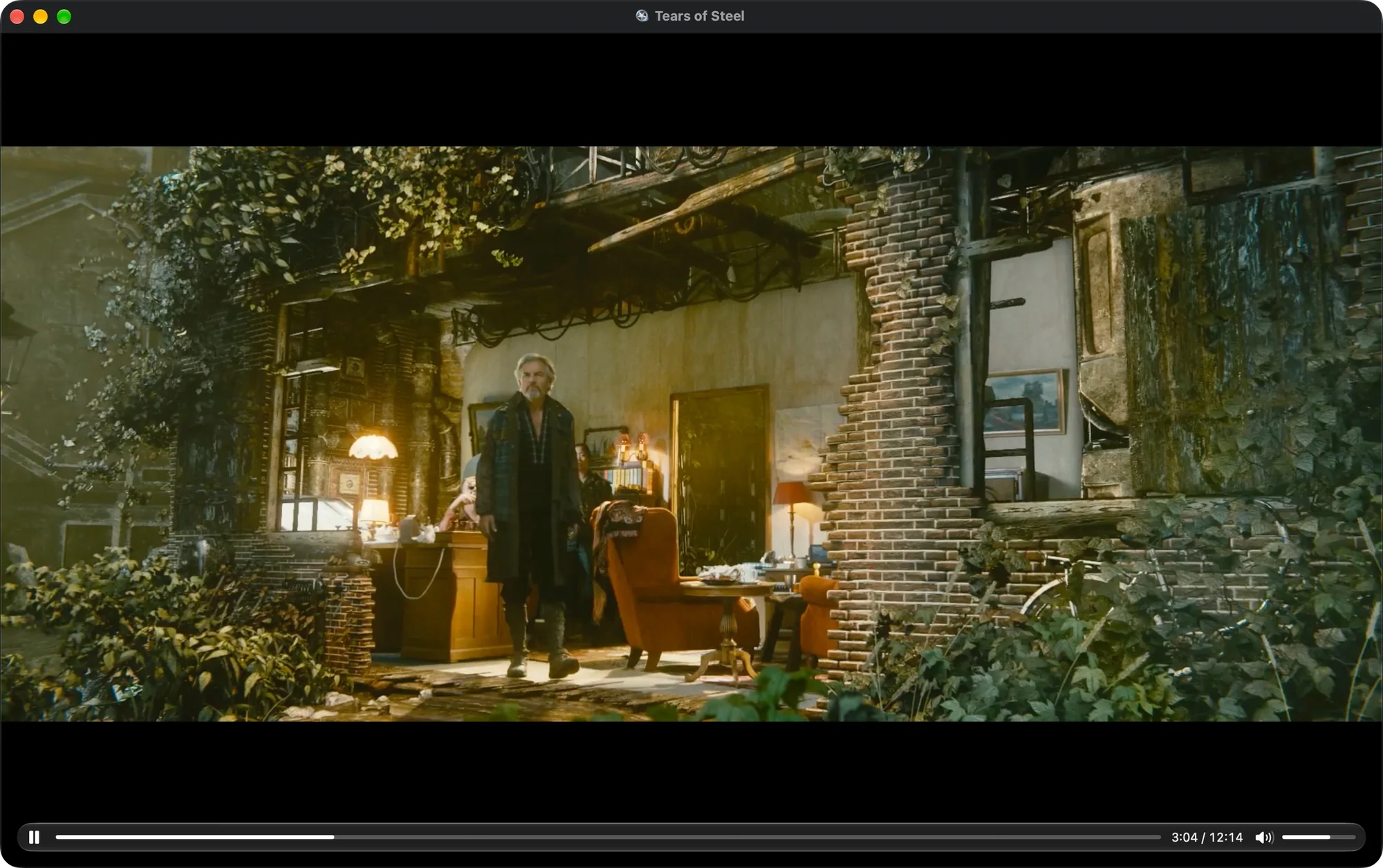 A video playing in Leah, with the timeline, time and volume controls along the bottom